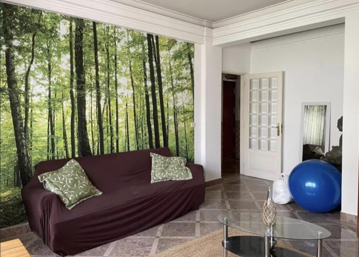 Sala com sofá cama