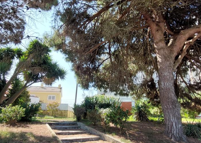 jardim envolvente jardim envolvente
