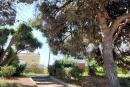 jardim envolvente