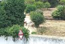 Quintal