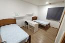 Quarto dulpo