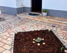 Entrada